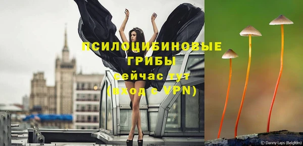 круглые Алексеевка
