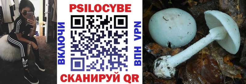 дарк нет клад  продажа наркотиков  Котовск  Галлюциногенные грибы Cubensis 